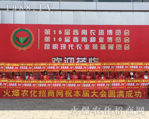 o̎r(nng)W(wng)M۱Mǻ𱬼t