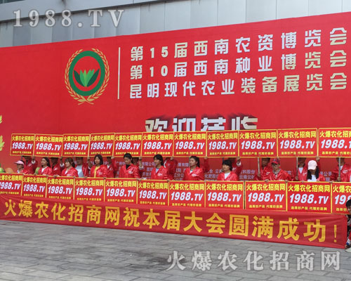 o̎r(nng)W(wng)M۱Mǻ𱬼t