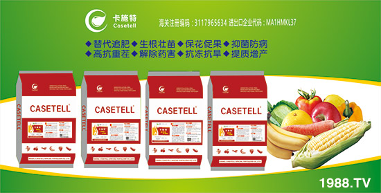 ɫпʩءףҡ¡o(w)¡s