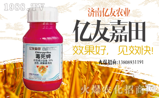 |r(nng)I(y)ףµһ﹤