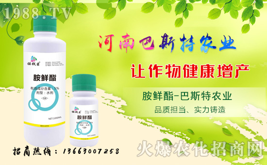 ϰ˹ءף2018\ո