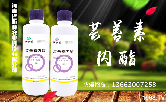 ϰ˹ءף2018\ո