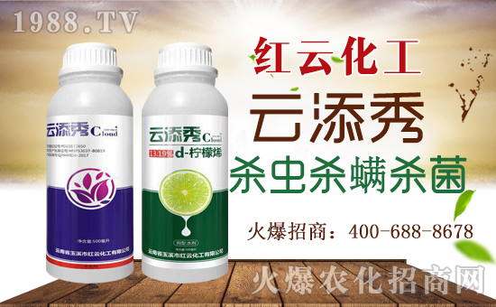 【紅云化工】祝您百福臨門常有余,祥云瑞氣聚新春!