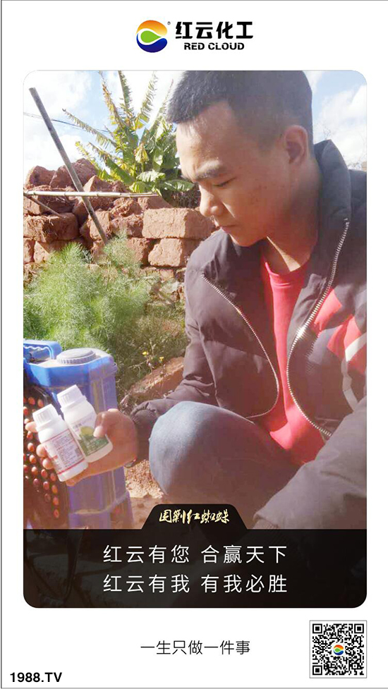 【紅云化工】祝您百福臨門常有余,祥云瑞氣聚新春!