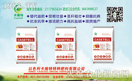 ɫпʩطNʡɫпʩȫwT