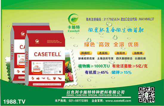 ɫпʩطNʡɫпʩȫwT