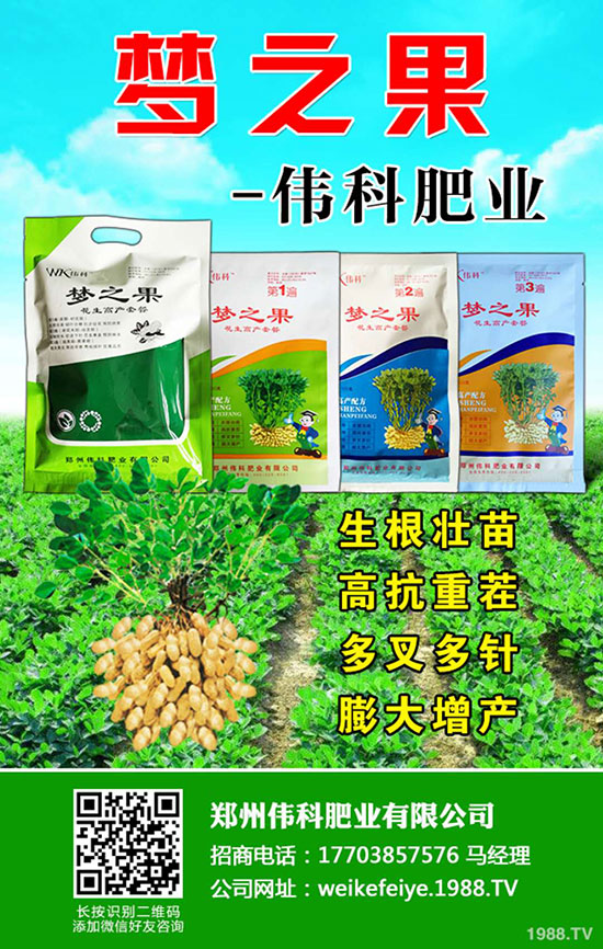     ƷʘI(y)ףȫ(gu)r(nng)Yʿϲl(f)ؔ(ci)옷(l)