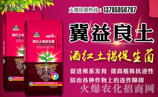迎春思試劍,三擂戰(zhàn)鼓氣吞虹。舊年離去的時(shí)候,同時(shí)離去的也是所有的不快;當(dāng)迎來新春的時(shí)候,同時(shí)也迎來了新的希望。