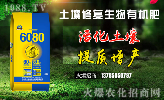 土壤修復(fù)生物有機(jī)肥-6080-冀益良土