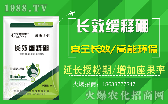 ϠNSףȫ(jng)NiҸM