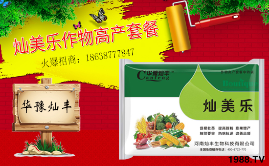 ϠNSףȫ(jng)Ni󼪣ҸM