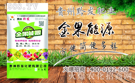     ǭl(f)ʘI(y)ףȫ(gu)µһ﹤