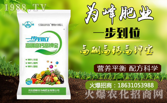     ʘI(y)ףȫµһҸMHҚg