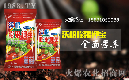     ʘI(y)ףȫµһҸMHҚg