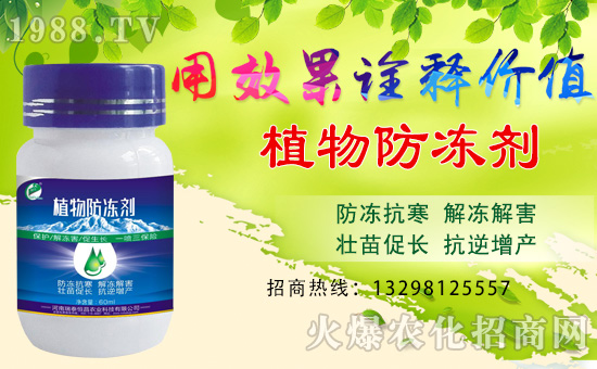 【瑞泰恒昌】全體員工恭祝全國經(jīng)銷商身體健康,豬年吉祥!