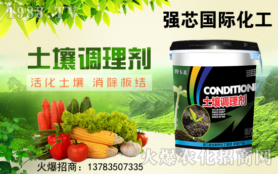 【強芯國際】祝大家在新的一年里身體健康,工作順利!