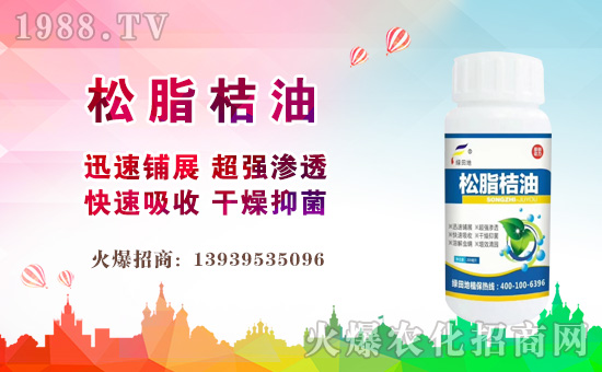 【綠田地植物】祝愿一路陪伴的朋友們身體健康,萬事如意!