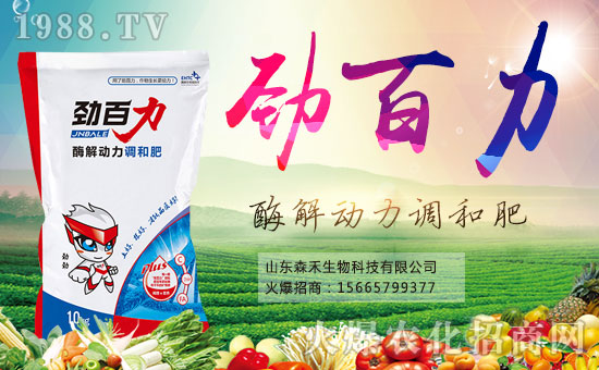 ɭףȫ(gu)µһ﹤