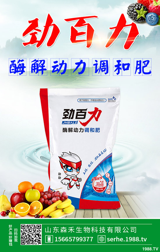 ɭףȫ(gu)µһ﹤