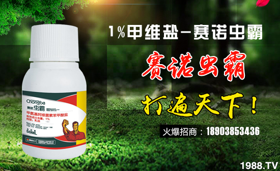 【賽諾化工】給您拜年啦!祝您新春大吉,萬事如意!