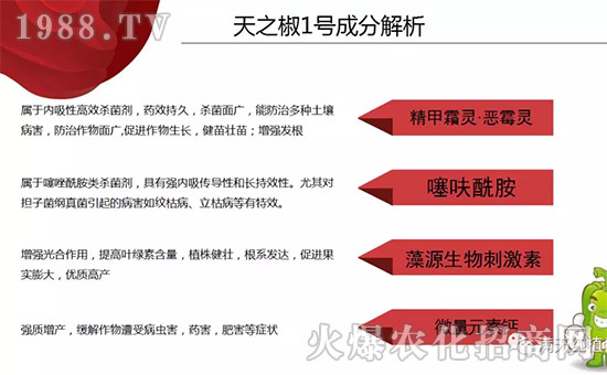 【河南滿天紅】祝大家在新的一年里工作順利,步步高升!