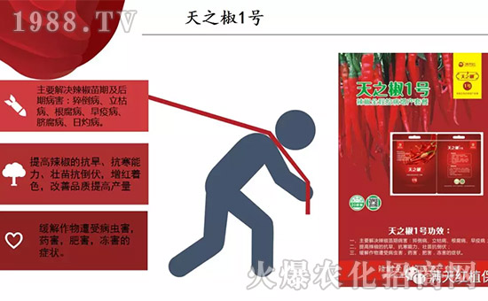 【河南滿天紅】祝大家在新的一年里工作順利,步步高升!