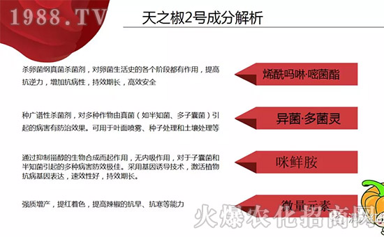 【河南滿天紅】祝大家在新的一年里工作順利,步步高升!