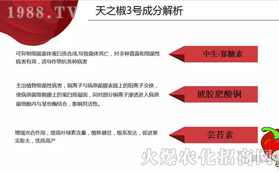 【河南滿天紅】祝大家在新的一年里工作順利,步步高升!