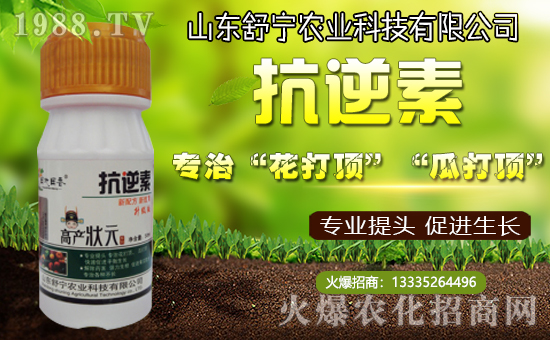 【舒寧農(nóng)業(yè)】所有新老客戶新春快樂,福壽安康!