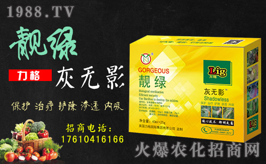 【英國(guó)力格】祝您歡歡喜喜迎狗年,萬事如意平安年!