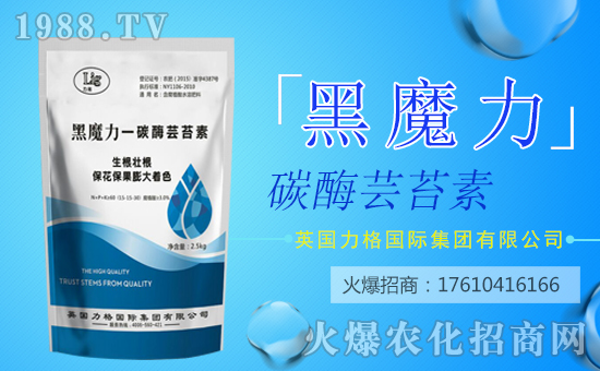 【英國(guó)力格】祝您歡歡喜喜迎狗年,萬事如意平安年!