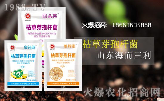 辭舊迎新心歡暢,夢(mèng)想激情齊飛翔,事業(yè)榮譽(yù)共輝煌,國強(qiáng)家富譜華章,健康平安都點(diǎn)亮,快樂幸福駐久長!山東海而三利生物化工有限公司恭祝大家豬年吉祥,福運(yùn)無疆,生意興隆,萬事如意!