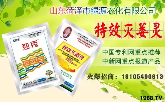 在此新年來臨之際,山東菏澤市綠源農(nóng)化有限公司全體員工祝您:歡歡喜喜迎豬年,萬事如意平安年,揚眉吐氣順心年,事業(yè)成功輝煌年,合家歡樂幸福年,身體健康萬萬年!!