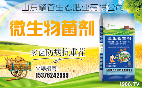 【擎蒼生態(tài)】恭祝新老客戶豬年行大運,財源滾滾來!