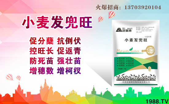 【好美特生物】全體員工祝大家新春快樂,步步高升!