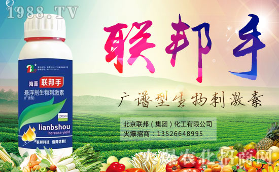 【北京聯(lián)邦化工】祝大家新年快樂(lè),好事多多!