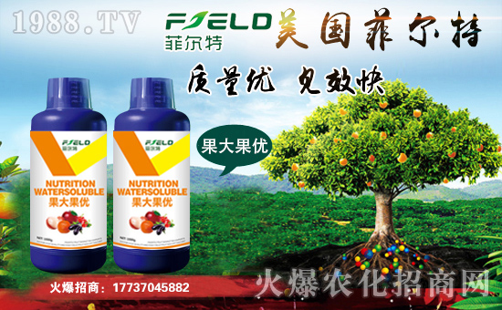 Ơءףȫ(jng)Nтw