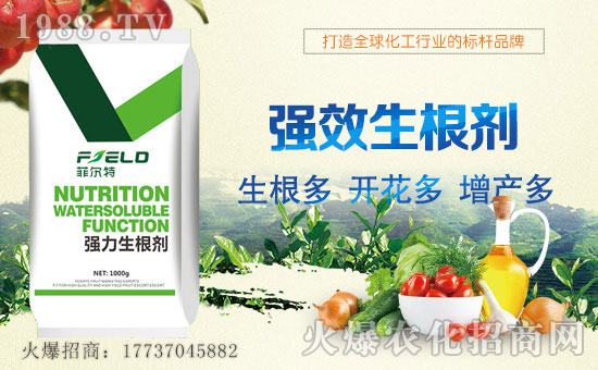 Ơءףȫ(jng)Nтw