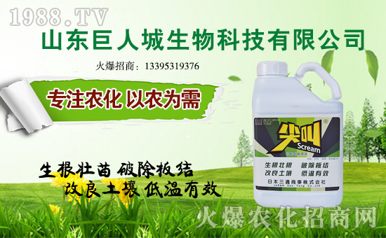 【巨人城生物】祝大家在新的一年里身體健康!心想事成!萬事如意!