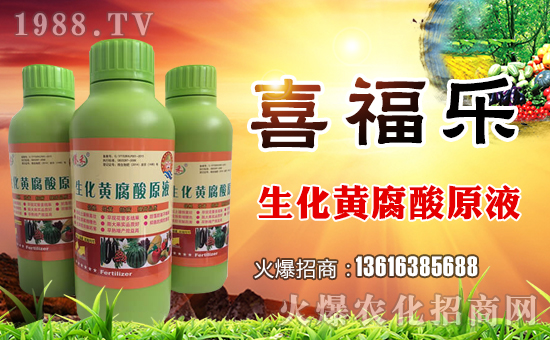 ϲףµһ﹤