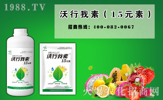 在繽紛的焰火和歡快的樂曲中,新的一年向我們走來。辭舊迎新之際,我們總是百感交集、思緒萬千。