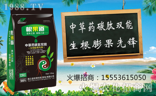 【青島根之道】祝愿一路陪伴的朋友們身體健康,豬年吉祥!