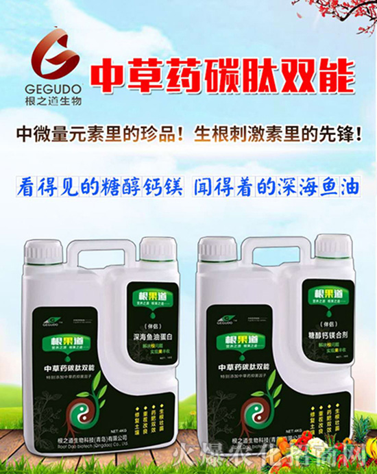 【青島根之道】祝愿一路陪伴的朋友們身體健康,豬年吉祥!