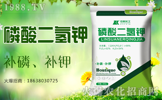 ѩغ݃(ni)ףůD(zhun)ӭ(li)r(nng)v꣬qƽ´ѹ(ji)пƻa(chn)Ʒ޹˾ףȫ(gu)µһҸMHҚg