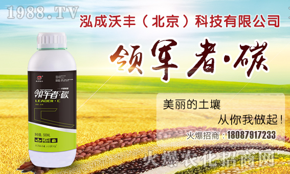 Sףȫ(jng)Nwi꼪