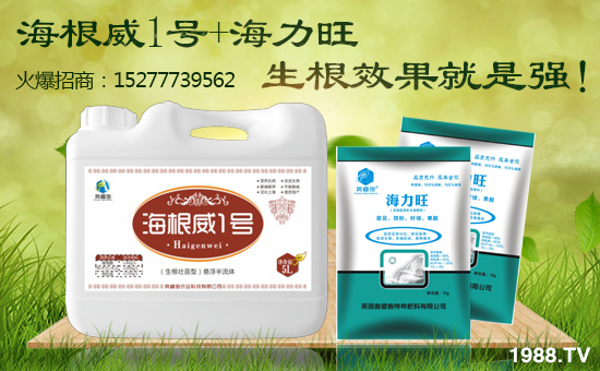 ӢWʩףggϲϲӭifƽ