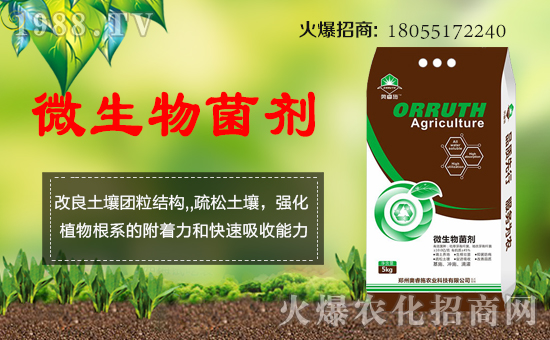 ӢWʩףggϲϲӭifƽ꣡