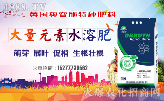 ӢWʩףggϲϲӭifƽ꣡