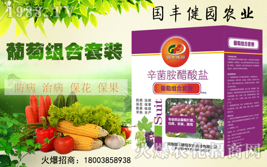 【國豐健園】全體員工祝大家新春快樂,步步高升!