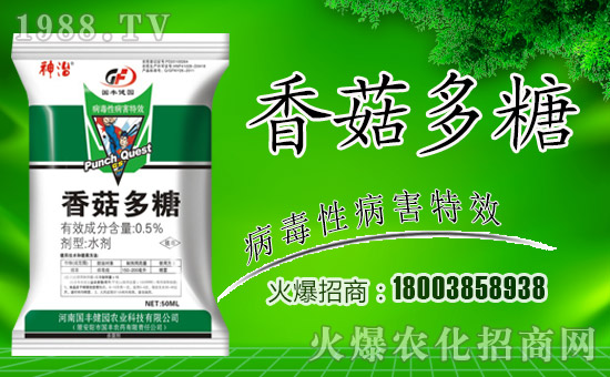 【國豐健園】全體員工祝大家新春快樂,步步高升!